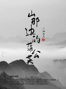 山那边的蒲公英